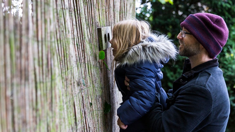 A man lifts his child up to look through a viewing gap in the reed fence of a bird hide